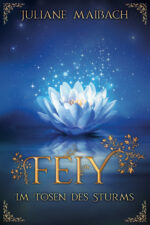 Feiy Remake Band 3